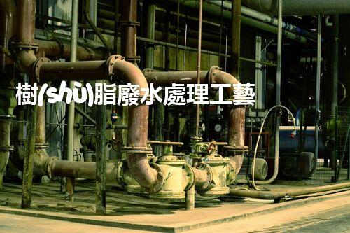 樹(shù)脂廢水處理工藝的以后：創(chuàng)新與挑戰(zhàn)并存？